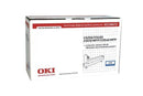 Tambour OKI 42126672 Original Cyan Neuf 17 000 Pages Pour C5250 C5450 C5510 MFP OKI